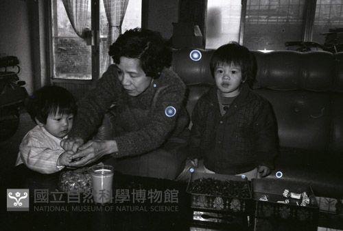 1950至2006年臺灣常民生活藏品圖，第1張