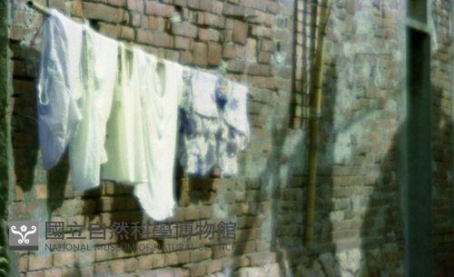 1950至2006年臺灣常民生活藏品圖，第1張