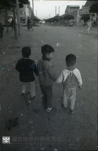 1950至2006年臺灣常民生活藏品圖，第1張