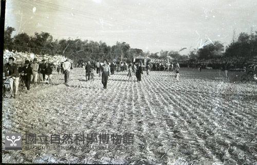 1950至2006年臺灣常民生活 藏品圖，第1張