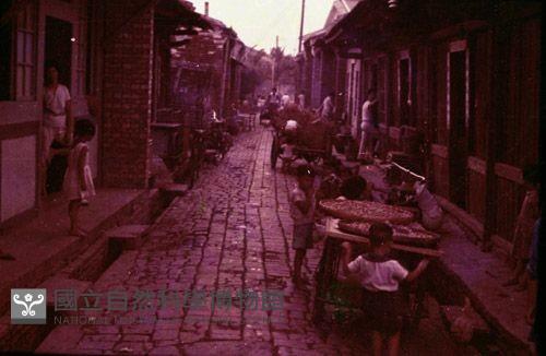 1950至2006年臺灣常民生活藏品圖，第1張