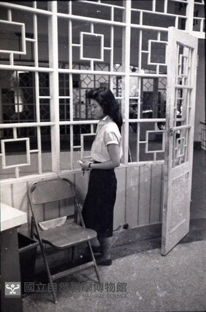 1950至2006年臺灣常民生活藏品圖，第1張