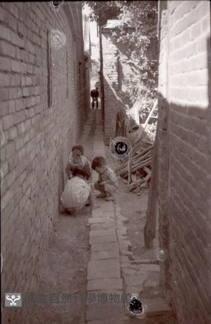 1950至2006年臺灣常民生活藏品圖，第1張