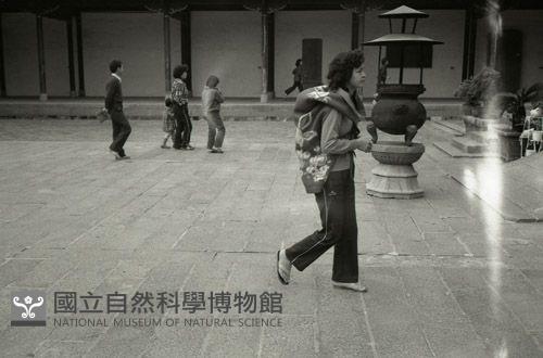1950至2006年台灣常民生活藏品圖，第1張
