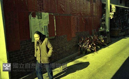 1950至2006年臺灣常民生活藏品圖，第1張