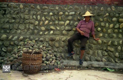 1950至2006年臺灣常民生活藏品圖，第1張