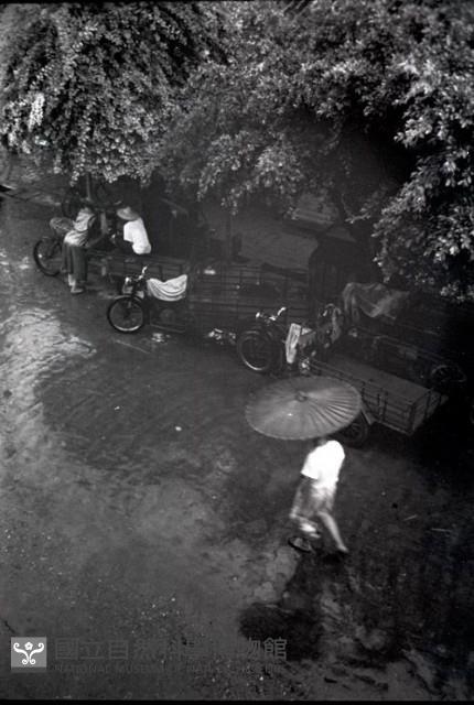 1950至2006年臺灣常民生活藏品圖，第1張