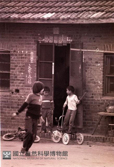 1950至2006年臺灣常民生活藏品圖，第1張