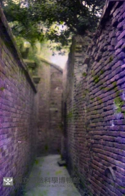 1950至2006年臺灣常民生活藏品圖，第1張