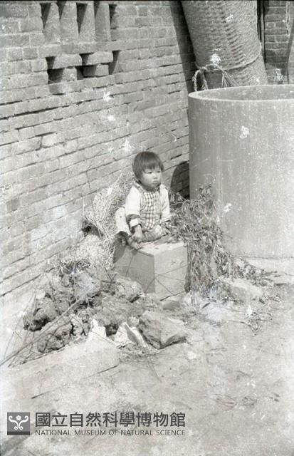 1950至2006年臺灣常民生活藏品圖，第1張