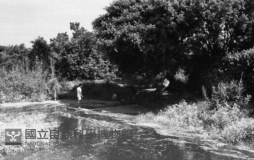 1950至2006年臺灣常民生活藏品圖，第1張