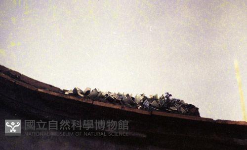 1950至2006年臺灣常民生活藏品圖，第1張