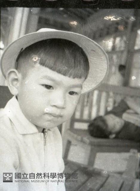 1950至2006年臺灣常民生活藏品圖，第1張