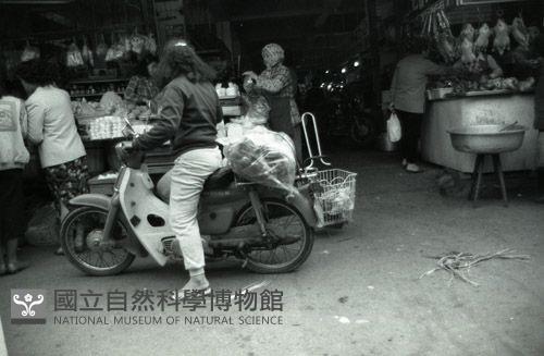 1950至2006年臺灣常民生活藏品圖，第1張