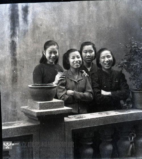 1950至2006年臺灣常民生活藏品圖，第1張