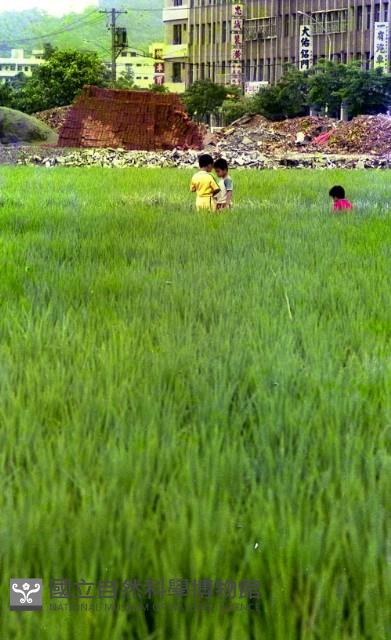 1950至2006年臺灣常民生活藏品圖，第1張