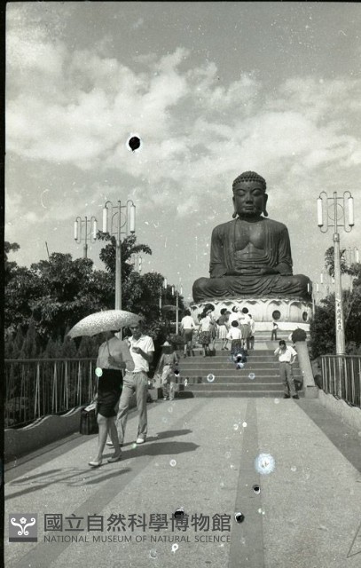 1950至2006年臺灣常民生活藏品圖，第1張
