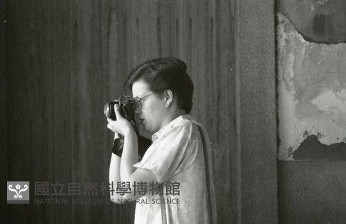 1950至2006年臺灣常民生活藏品圖，第1張