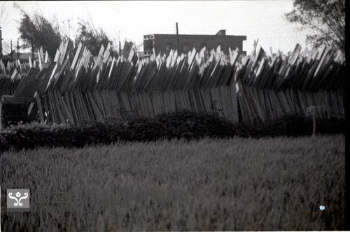 1950至2006年臺灣常民生活藏品圖，第1張