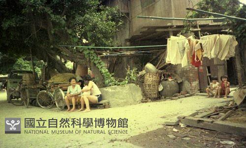 1950至2006年臺灣常民生活藏品圖，第1張