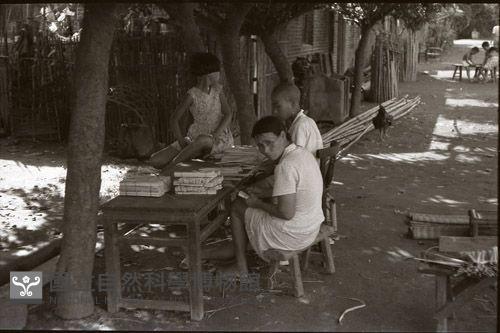 1950至2006年臺灣常民生活藏品圖，第1張