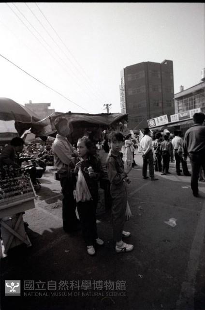 1950至2006年臺灣常民生活藏品圖，第1張