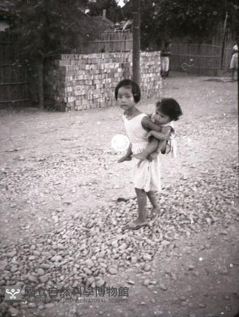 1950至2006年臺灣常民生活藏品圖，第1張