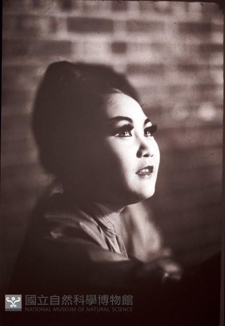 1950至2006年臺灣常民生活藏品圖，第1張