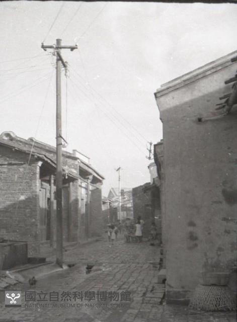1950至2006年臺灣常民生活藏品圖，第1張