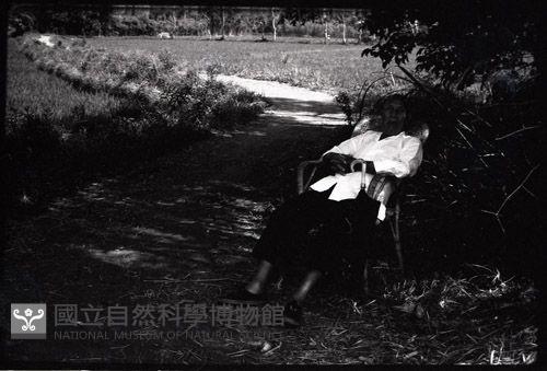 1950至2006年臺灣常民生活藏品圖，第1張