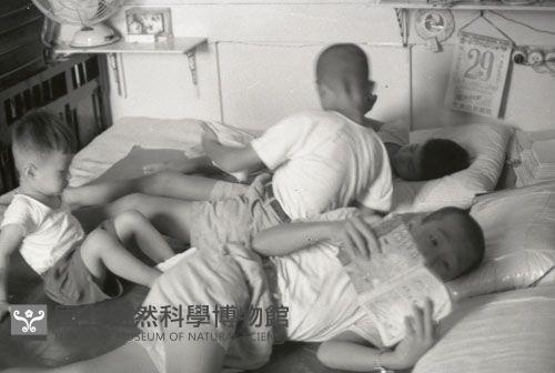 1950至2006年臺灣常民生活藏品圖，第1張