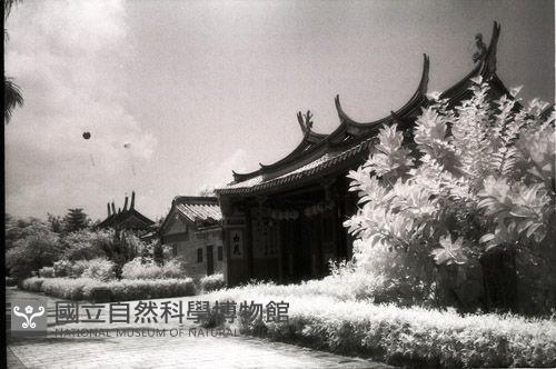 1950至2006年臺灣常民生活藏品圖，第1張