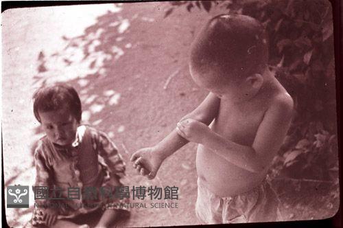 1950至2006年臺灣常民生活藏品圖，第1張