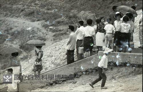 1950至2006年臺灣常民生活藏品圖，第1張