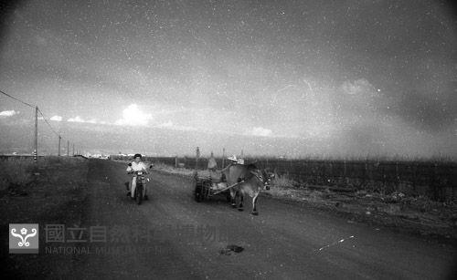 1950至2006年臺灣常民生活藏品圖，第1張