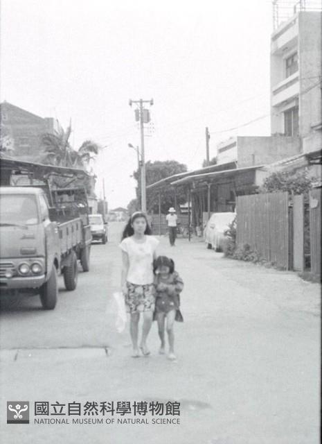 1950至2006年臺灣常民生活藏品圖，第1張