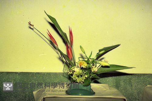 1950至2006年臺灣常民生活藏品圖，第1張