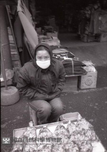 1950至2006年臺灣常民生活藏品圖，第1張