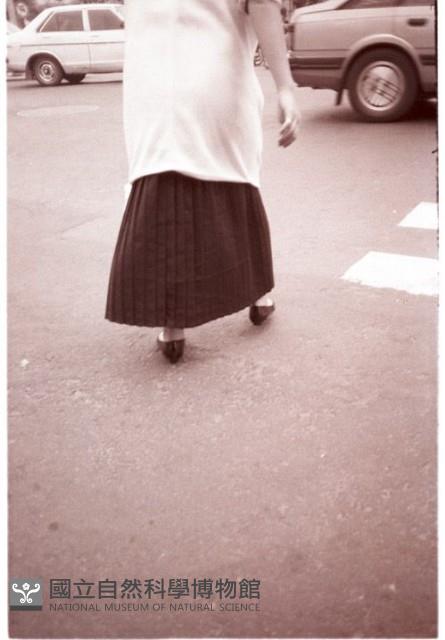 1950至2006年臺灣常民生活藏品圖，第1張