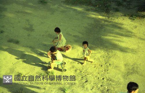 1950至2006年臺灣常民生活藏品圖，第1張