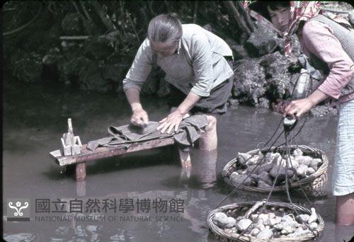 〈洗い場〉洗滌場（1950至2006年臺灣常民生活）藏品圖，第1張