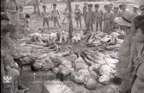 1950至2006年臺灣常民生活藏品圖，第1張
