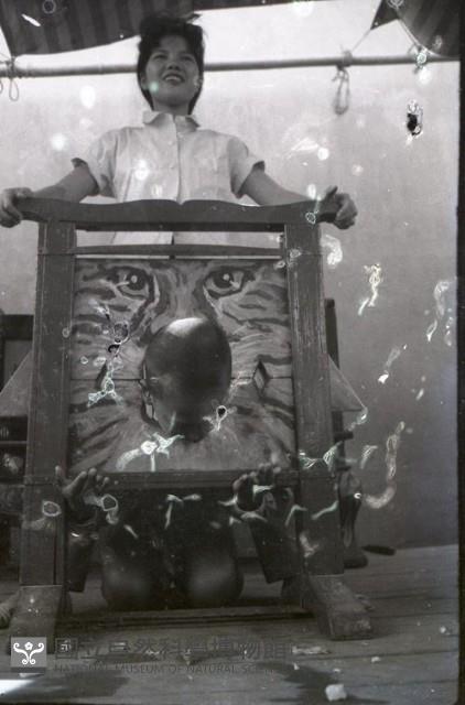 1950至2006年臺灣常民生活藏品圖，第1張