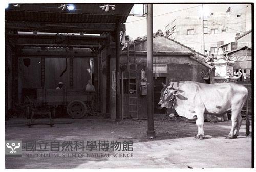 1950至2006年臺灣常民生活藏品圖，第1張