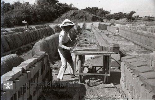 1950至2006年臺灣常民生活藏品圖，第1張