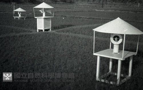 1950至2006年臺灣常民生活藏品圖，第1張