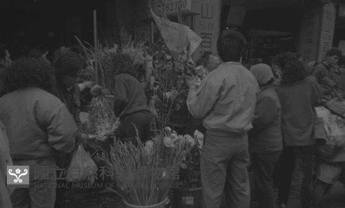 1950至2006年臺灣常民生活藏品圖，第1張