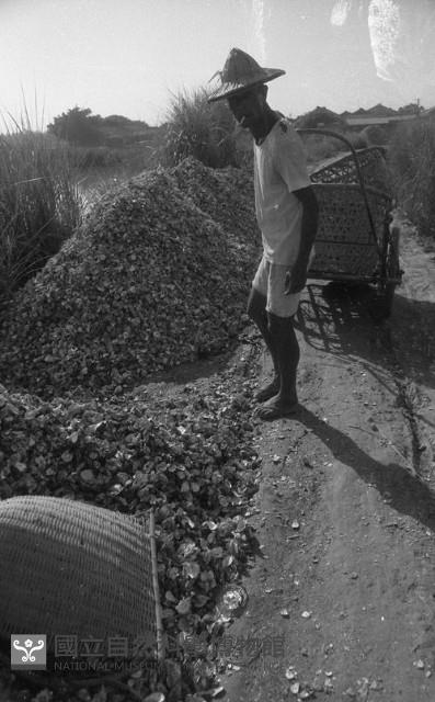 1950至2006年臺灣常民生活藏品圖，第1張