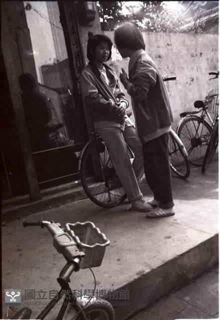 1950至2006年臺灣常民生活藏品圖，第1張