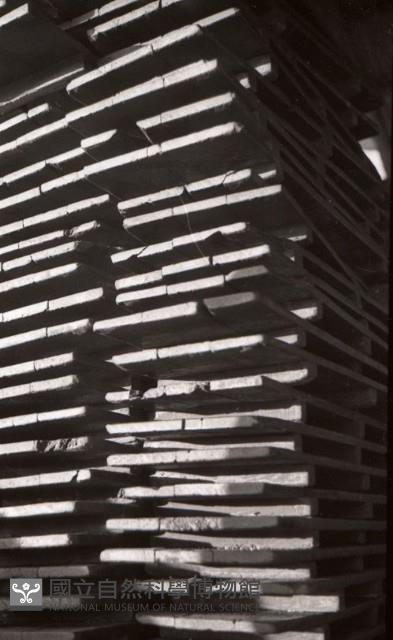 1950至2006年臺灣常民生活藏品圖，第1張